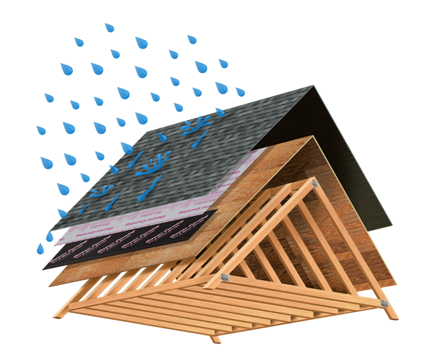 1-roof rain